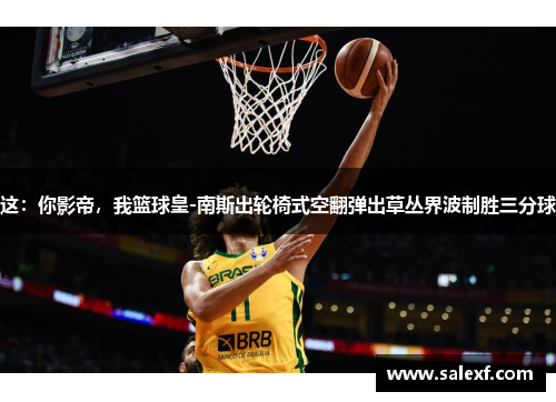 这：你影帝，我篮球皇-南斯出轮椅式空翻弹出草丛界波制胜三分球